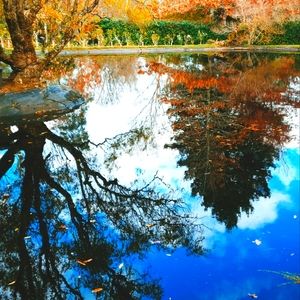 Meet your Posher, Wendi